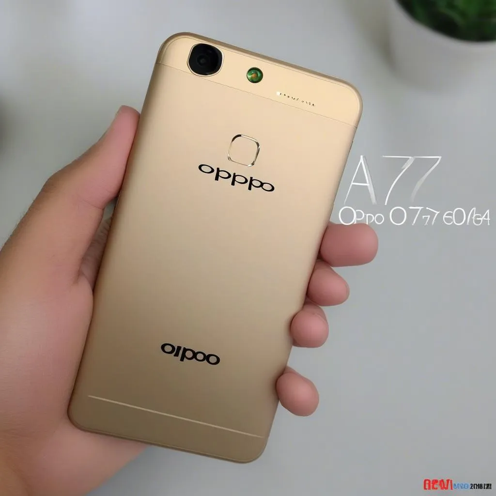 Review Oppo A77